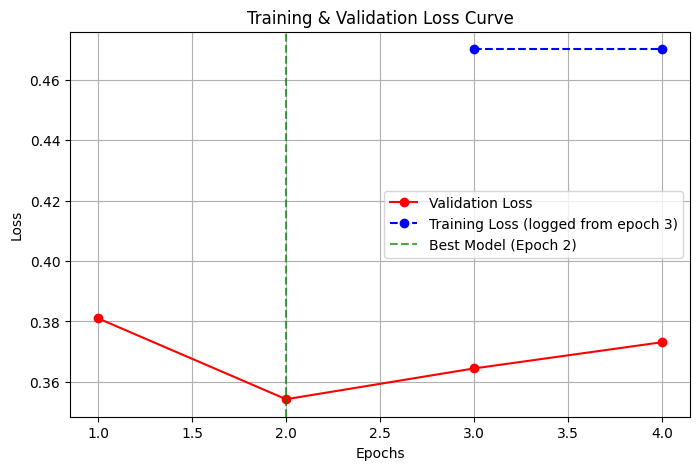 Loss Curve