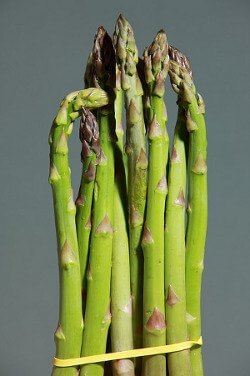 Asparagus.jpg