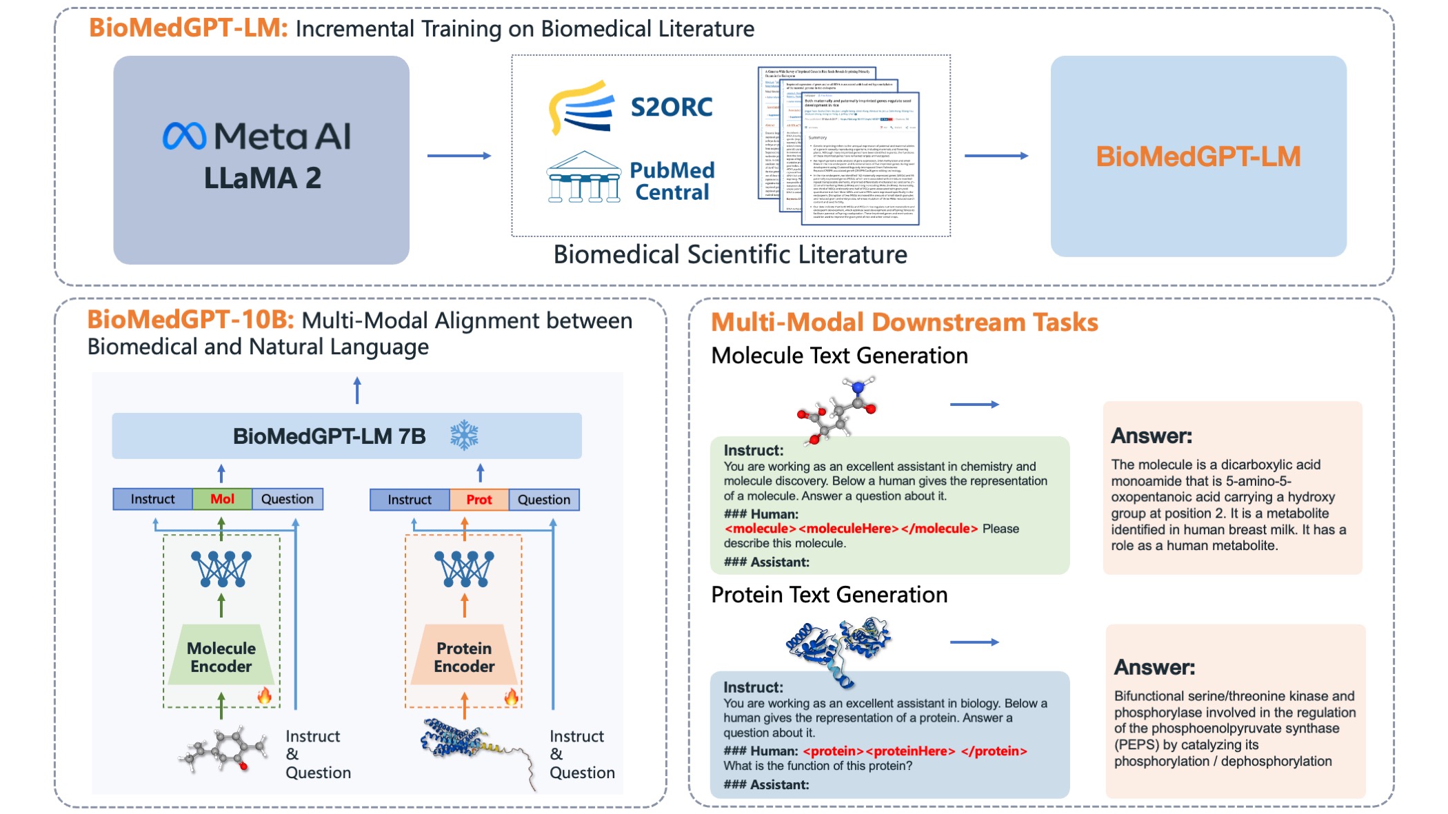 BioMedGPT-10B架构图.jpeg