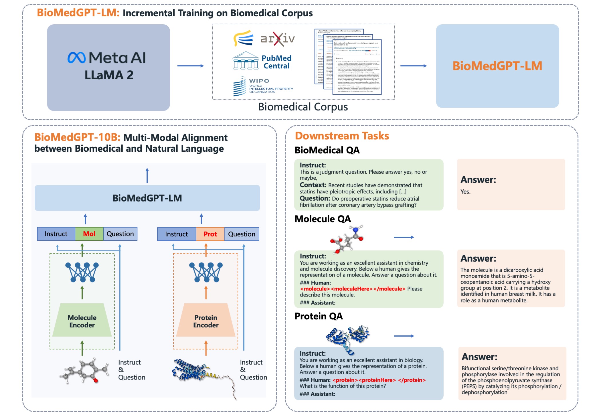 BioMedGPT-10B.jpg