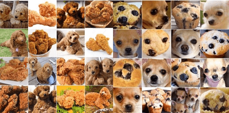 Dog Food Examples