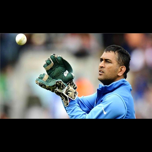 dhoni 15