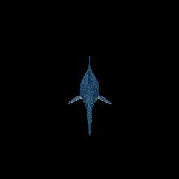 a shark