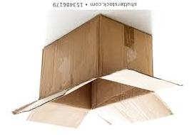 cardboard0010_b.jpg