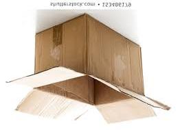 cardboard0010_v.jpg