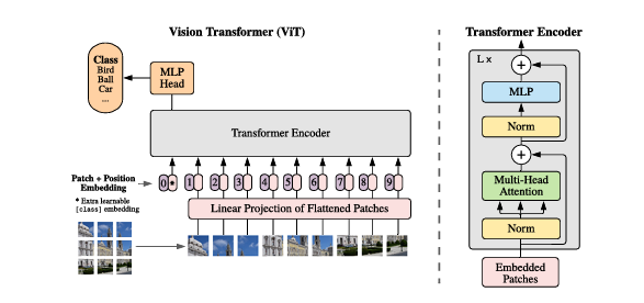 Vision transformer architecture