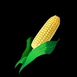 Corn 2