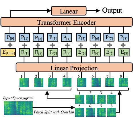 audio_spectogram_transformer_architecture.png