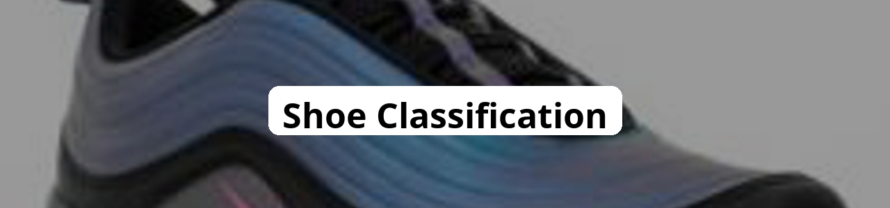 keremberke/shoe-classification