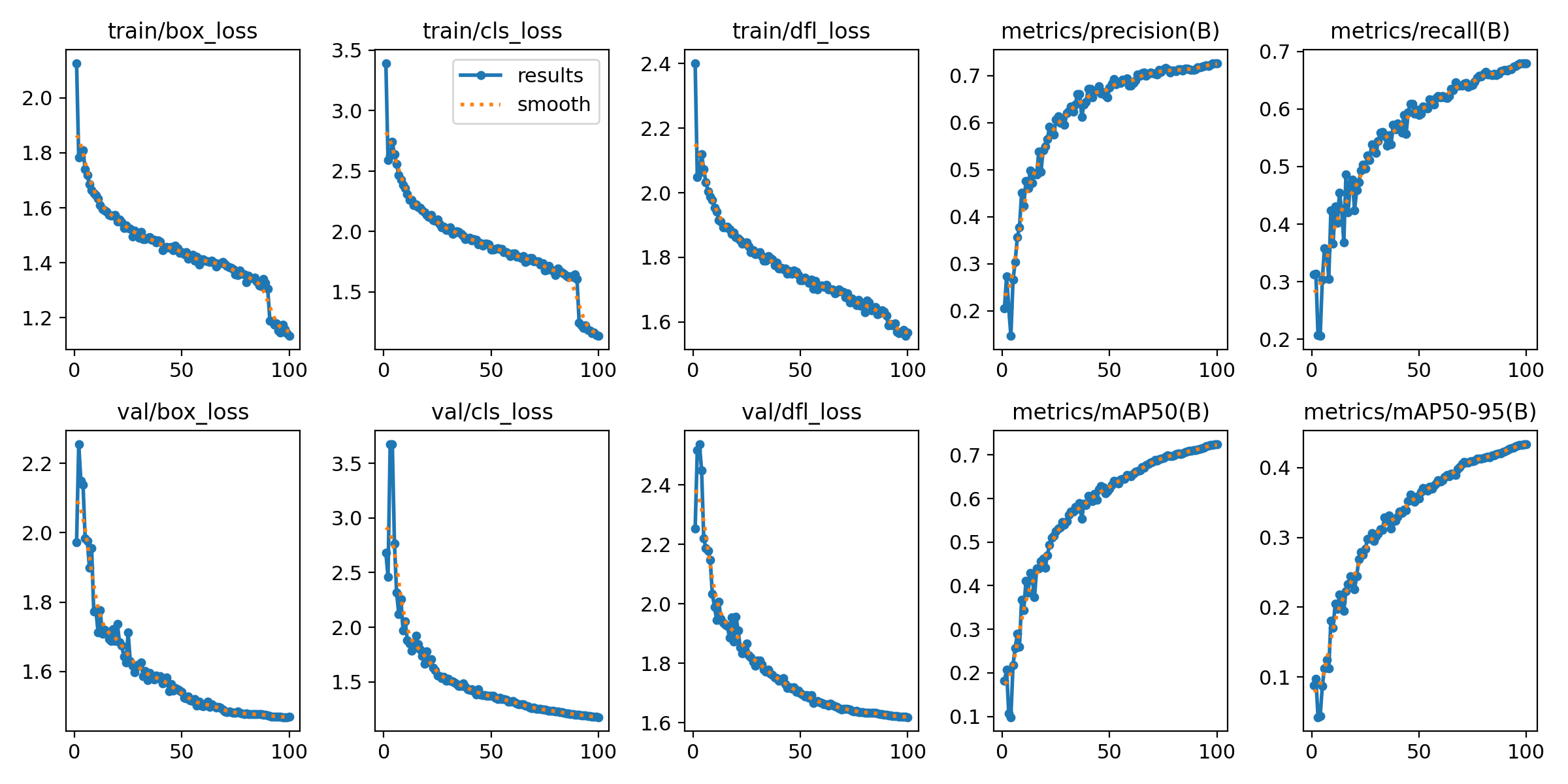 Training and Validation Losses