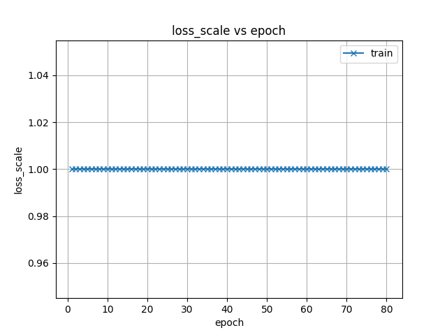 loss_scale.png