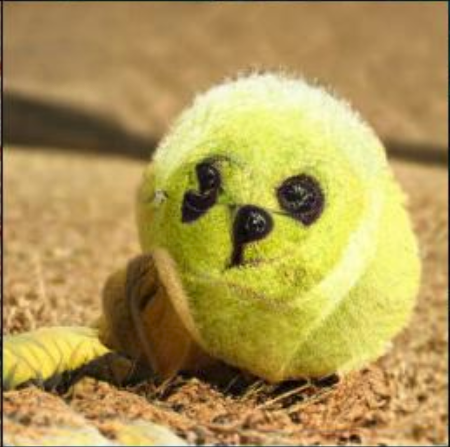 DogBall.png