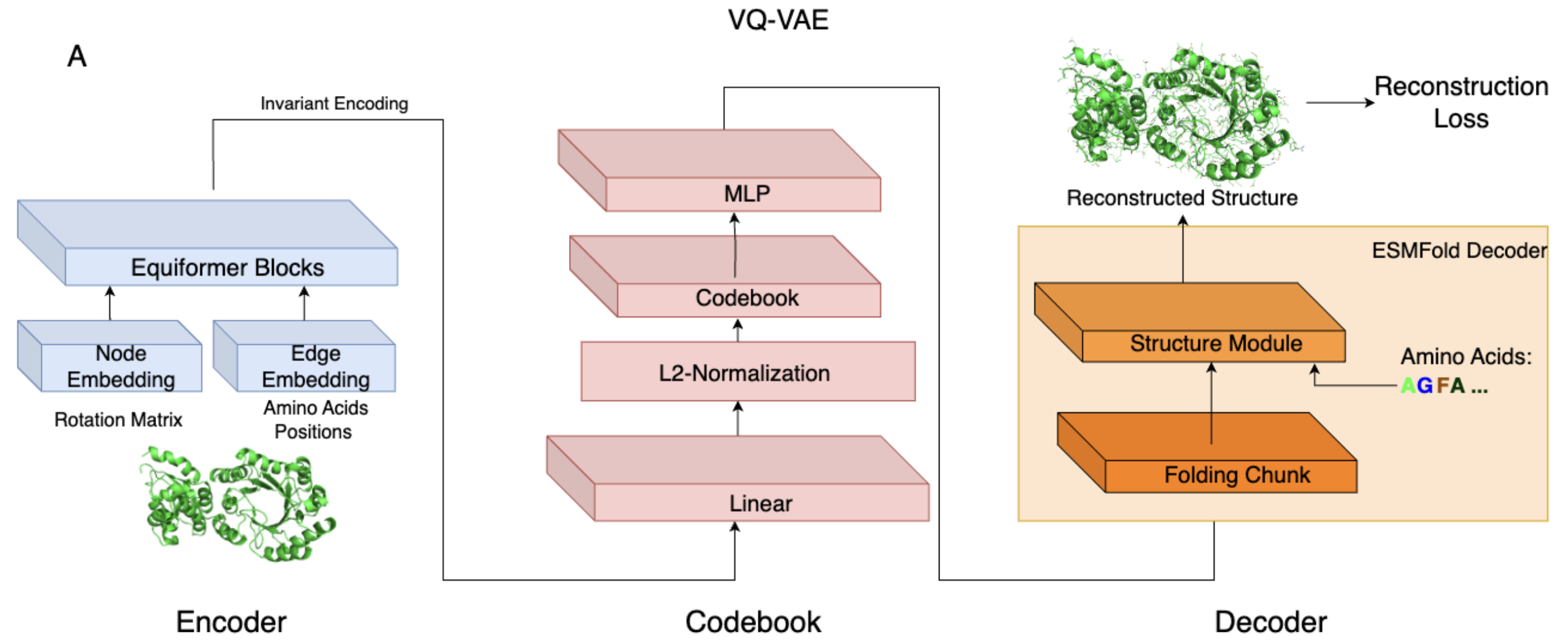 Model Architecture