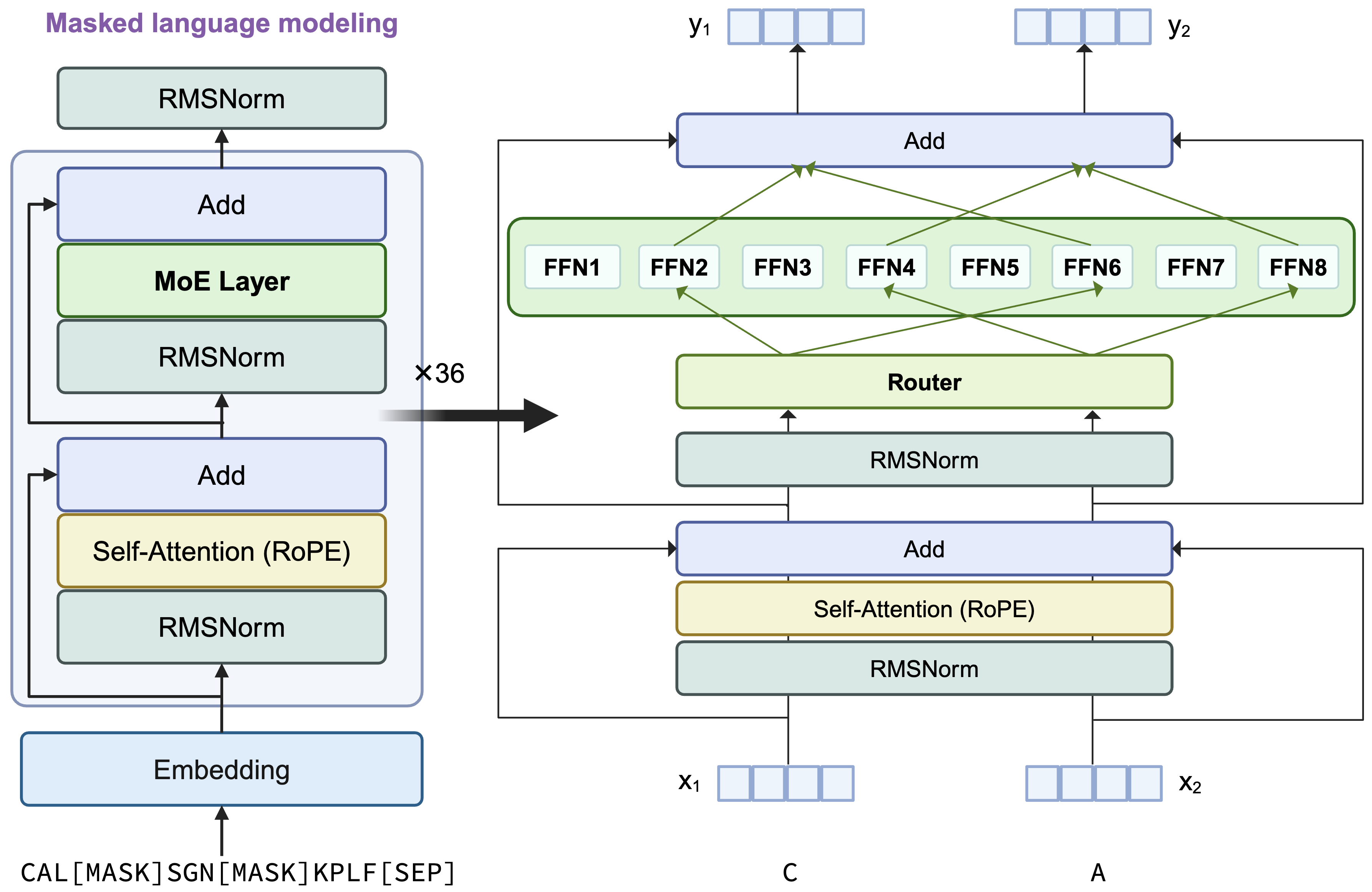 ProteinMoE Architecture