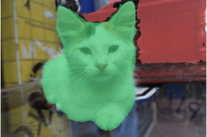 Segmented Cat