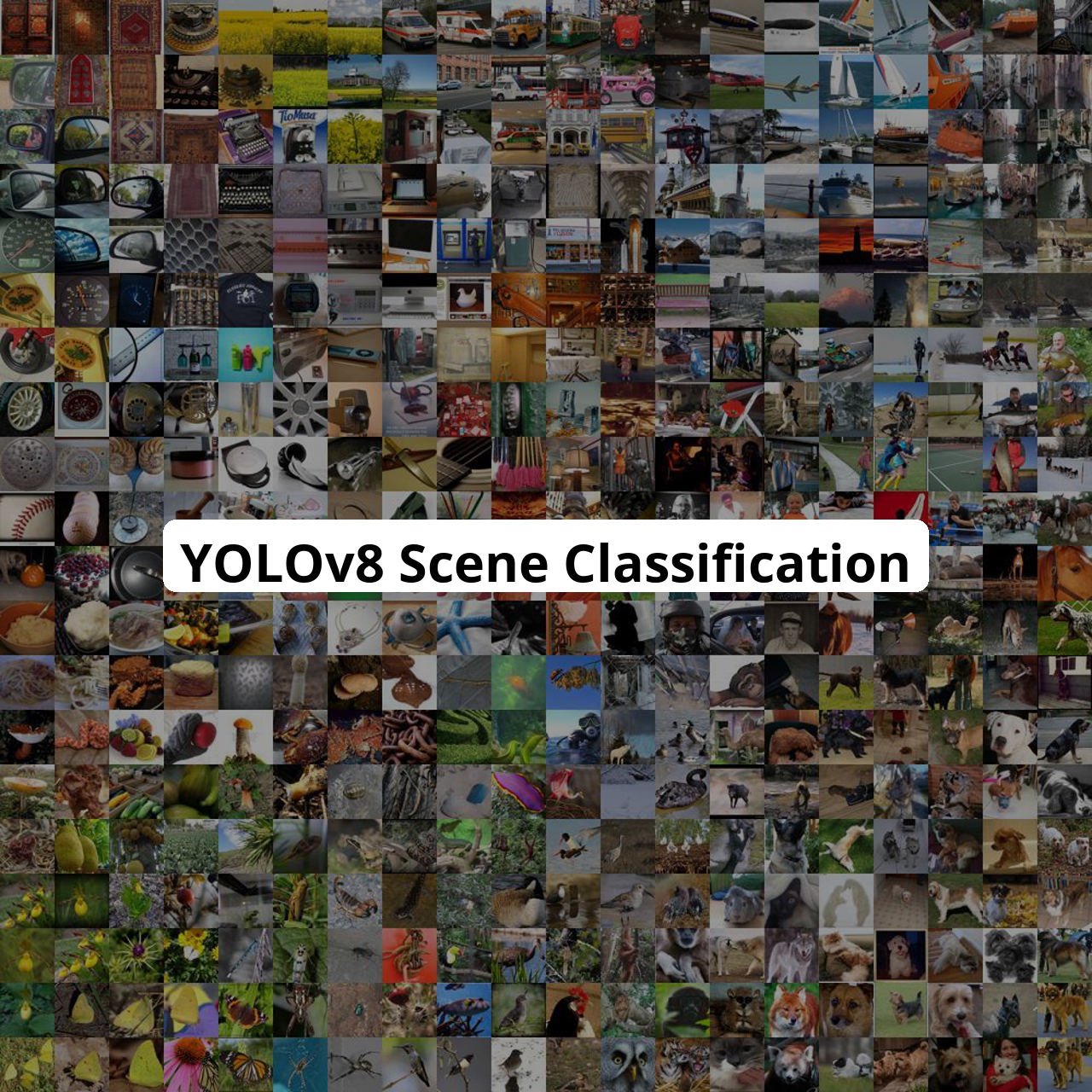keremberke/yolov8s-scene-classification