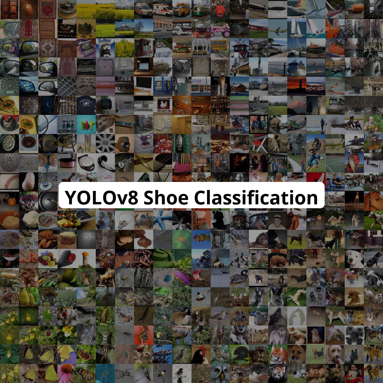 keremberke/yolov8s-shoe-classification