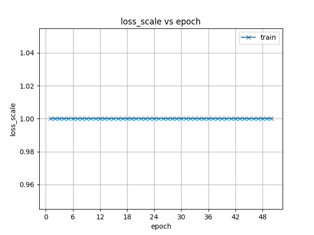 loss_scale.png