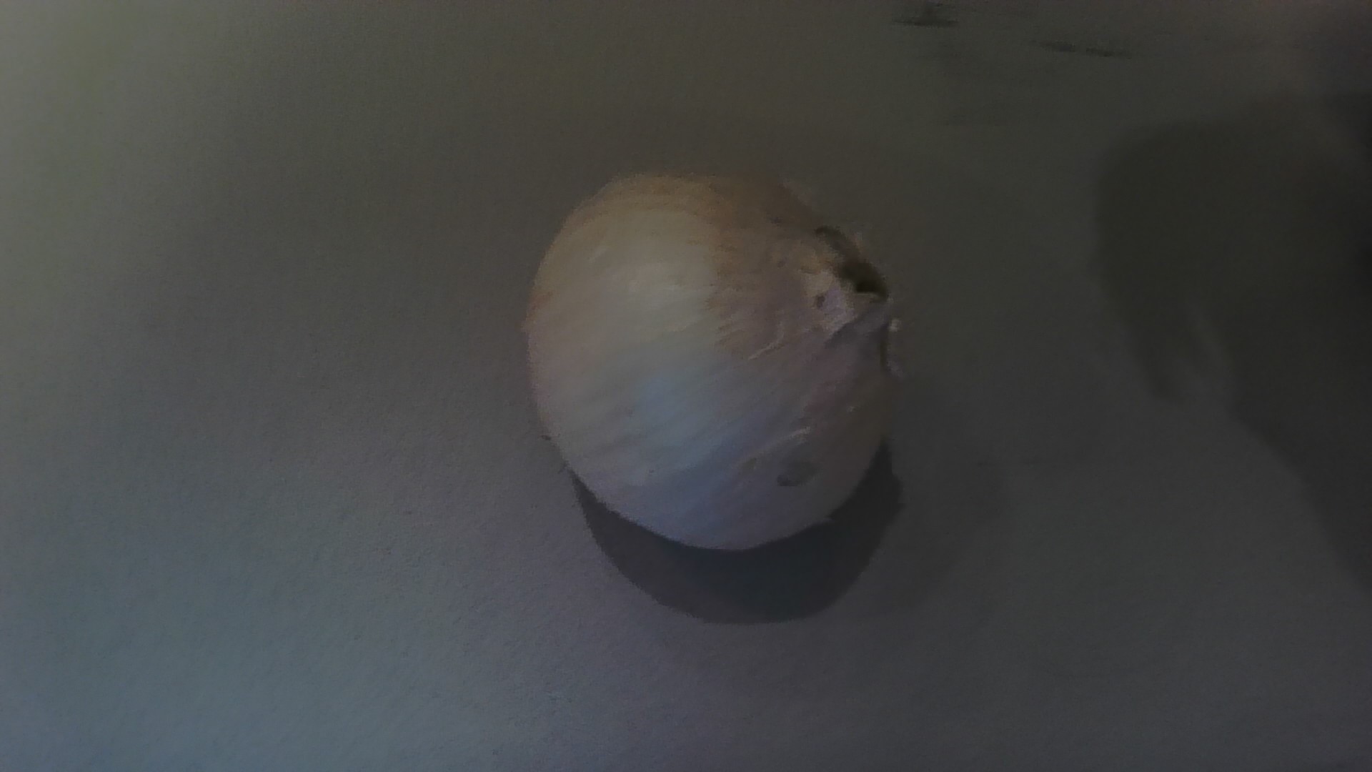 1 Onion