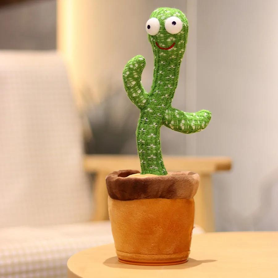 <dancing-cactus> 1