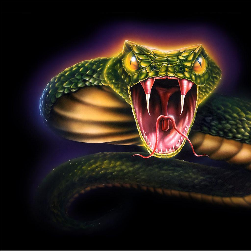 Мс змея. Королевская Кобра Нагайна. Змея Кобра Нагайна. Королевская Кобра черная змея. Королевская Кобра зеленая.