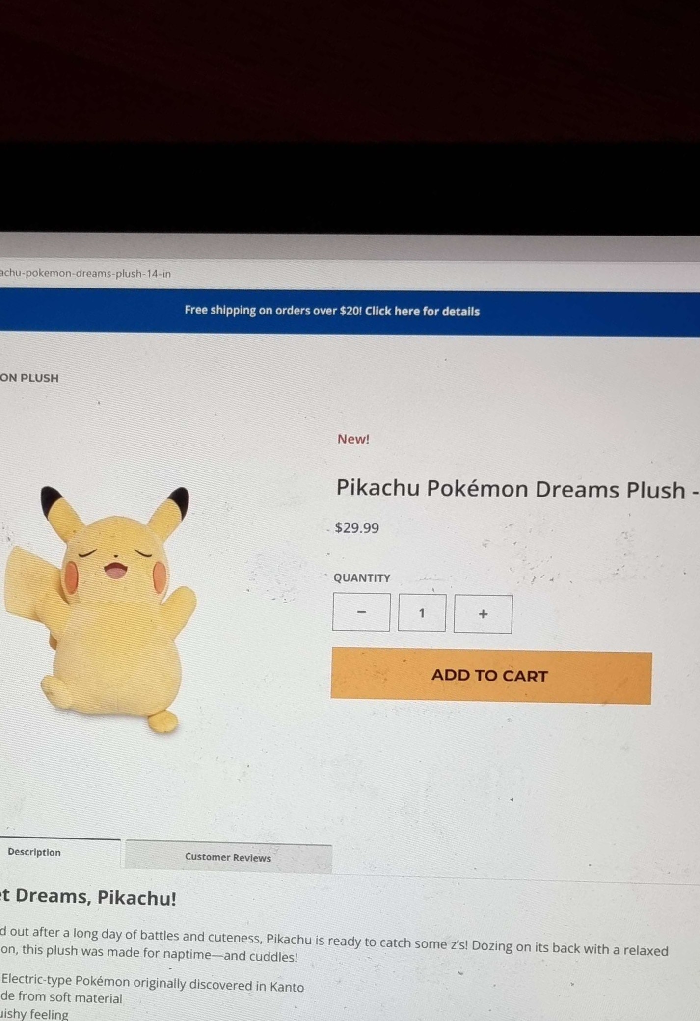 plush_pikachu.jpg