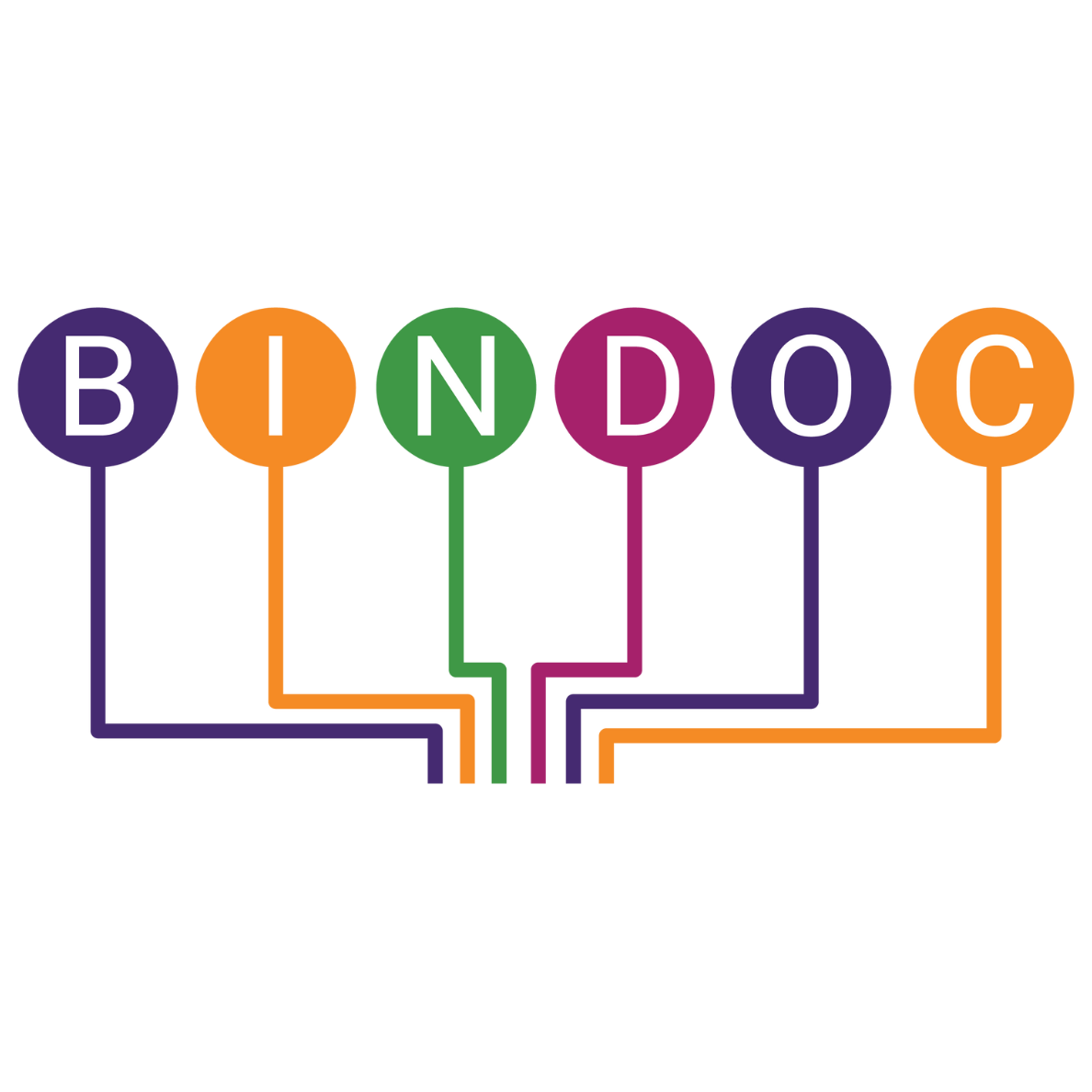 BinDoc Logo (Quadratisch).png