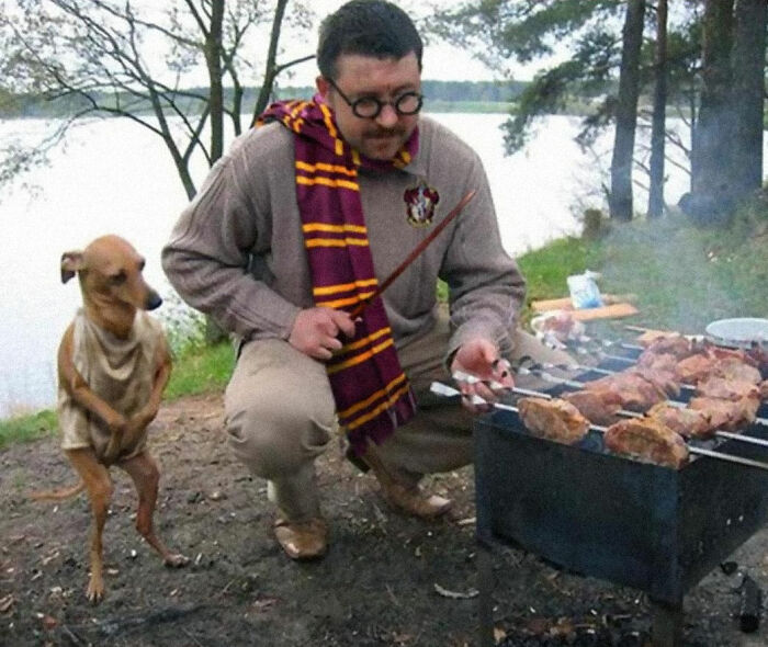 harrypotterDog.jpg