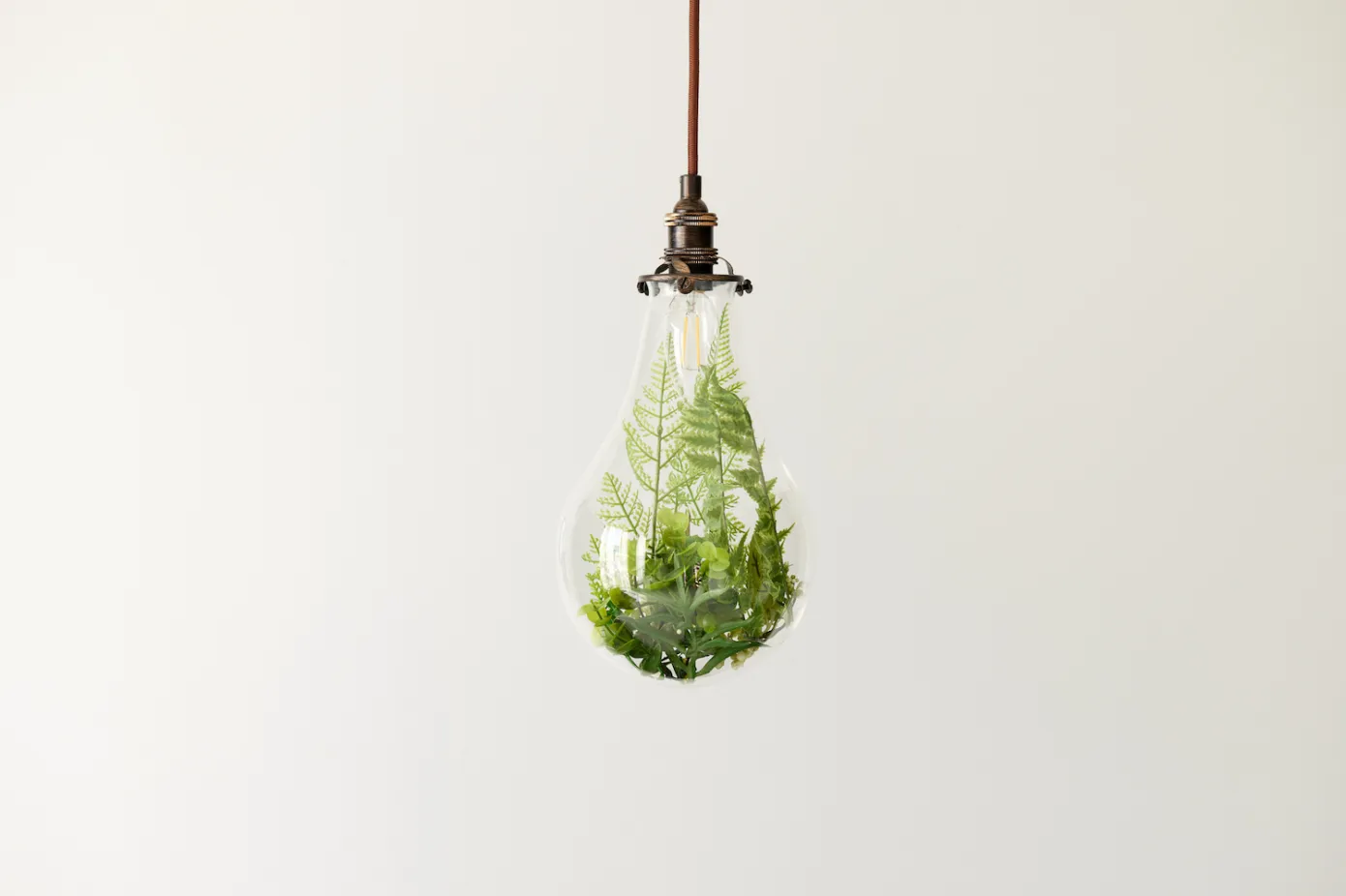 plant_bulb.webp