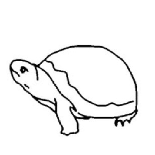 turtle.png