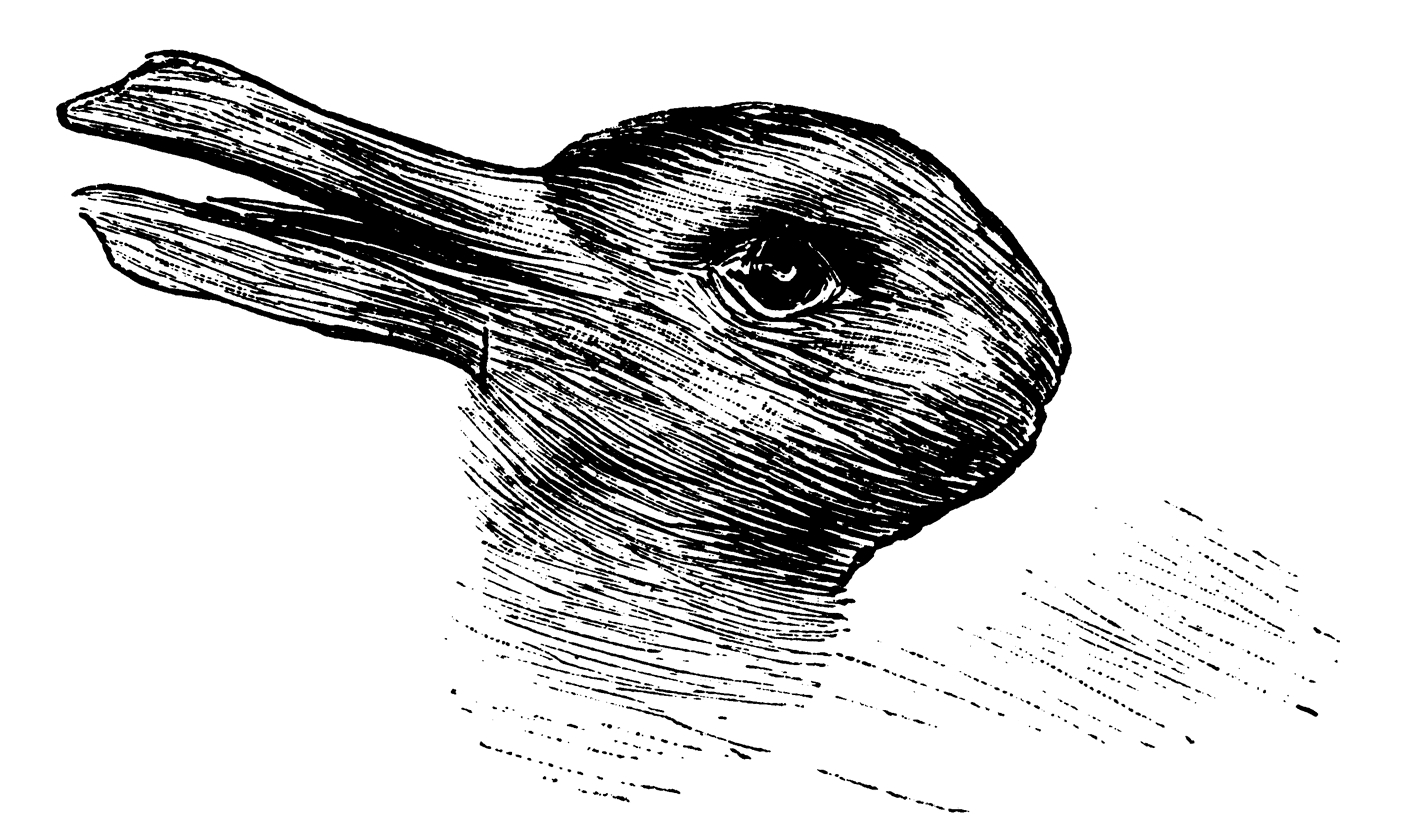 rabbit-duck.jpg