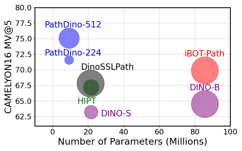 FigPathDino_parameters_FLOPs_compare.png