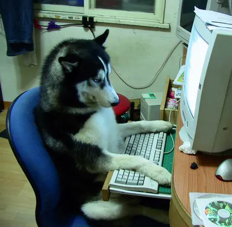 a cat sitting on a desk next to a computer .png