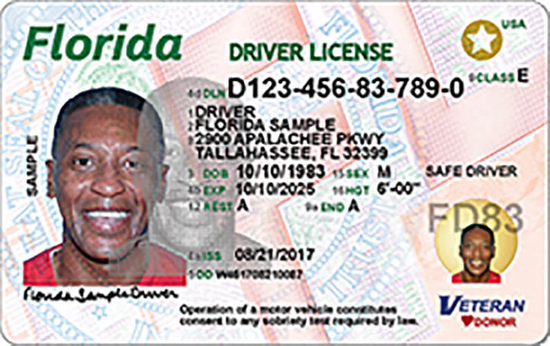 florida-drivers-license.jpeg