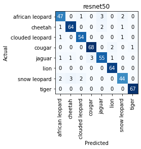 resnet50-confusion-matrix.png