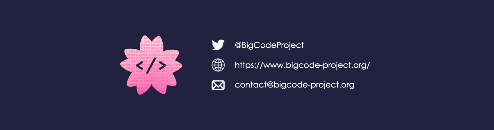 bigcode-contact.png