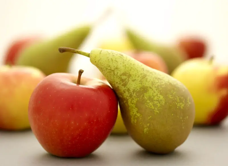 apple and pear.jpg