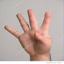 four-fingers.jpg