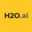 h2o-logo.ico