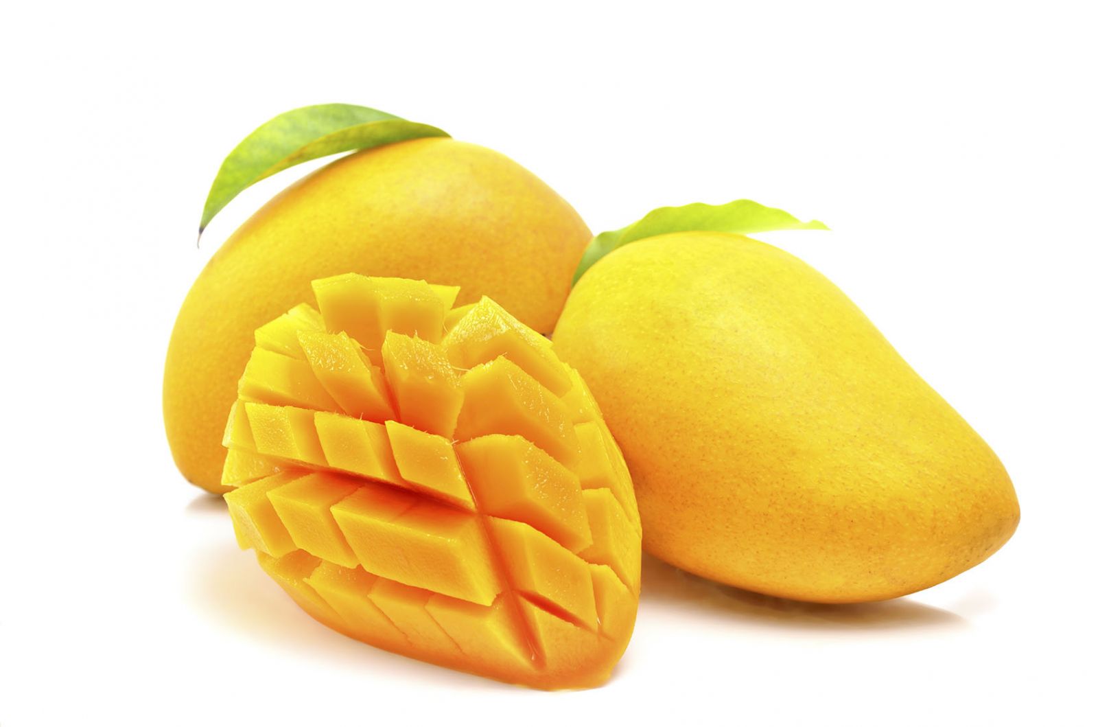 mango.jpg