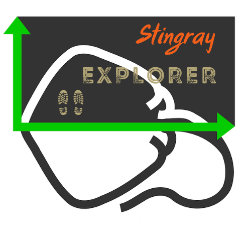 stingray_explorer.png