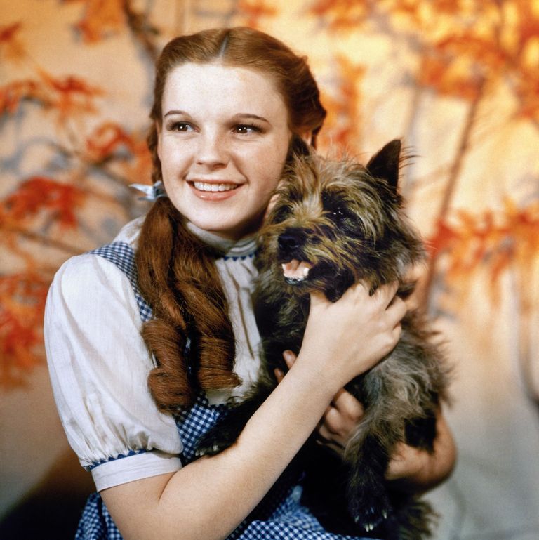 dorothy.jpg