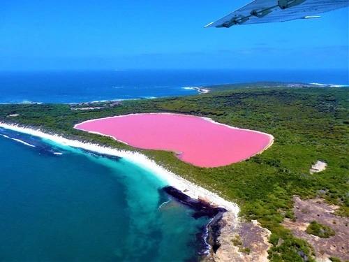 pink_lake.jpg