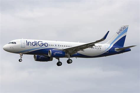 indigo.jpg