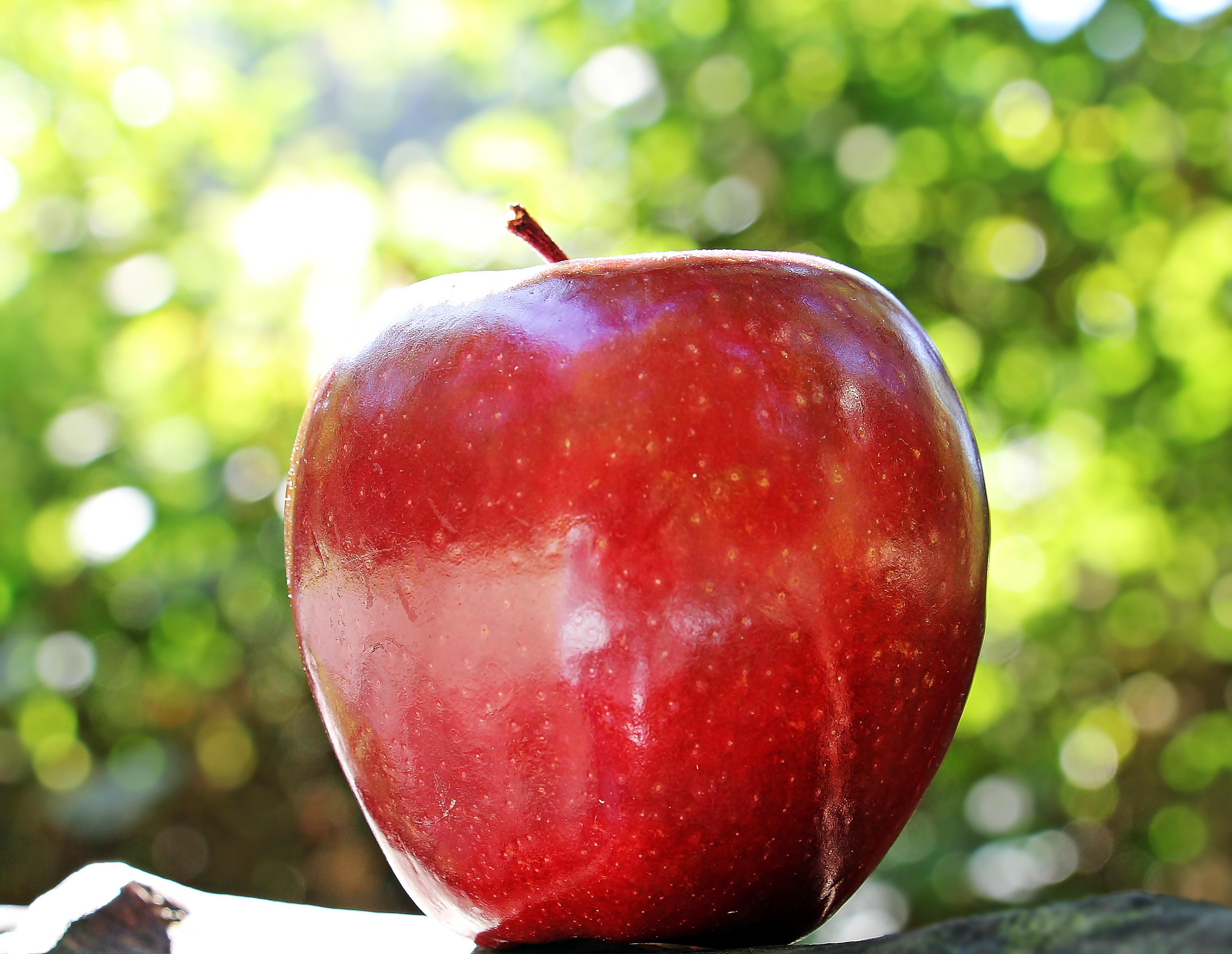 apple-fruit-ripe.jpg
