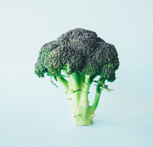 08_broccoli.png