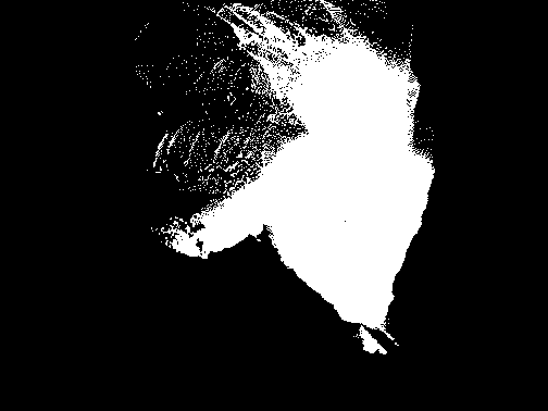 point_cloud_projection_mask.png