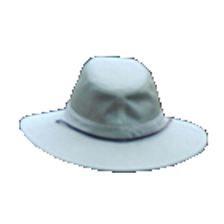 hat.png