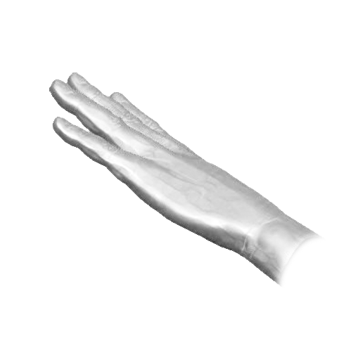 pp_hands01_04.png