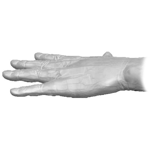 pp_hands01_06.png